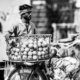 Cycle of Sustenance - Fine Art Photography Prints, Limited Edition Photography, Giclée Prints,  Art Photography Investment,  Luxury Photography Art