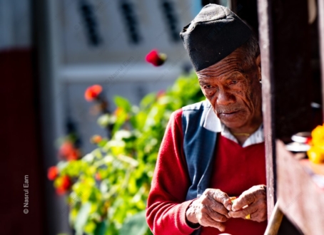 Weathered Hands, Contemplative Gaze