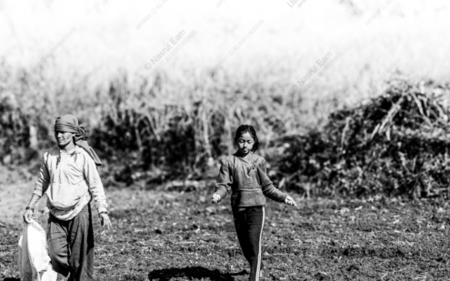 Generations on the Land - Fine Art Photography Print, Limited Edition Photography, Black and White Photography, Photography Art Collectors, Museum-Quality Print