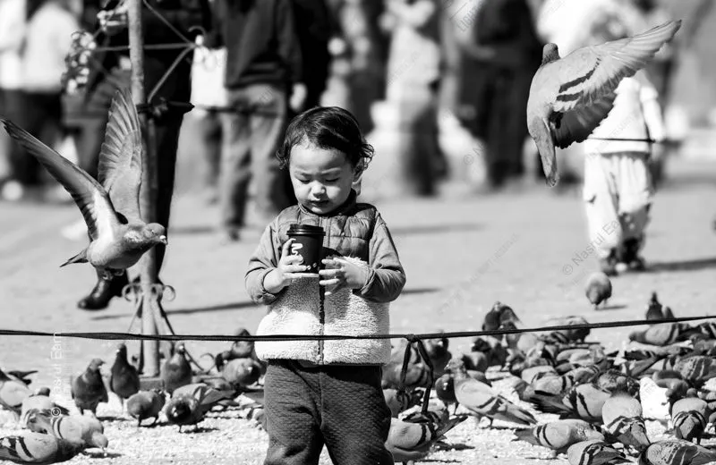 A Child with a Cup, Among the Pigeons - Fine Art Photography Print, Limited Edition Photography, Giclée Print, Black and White Photography, Art Photography Investment