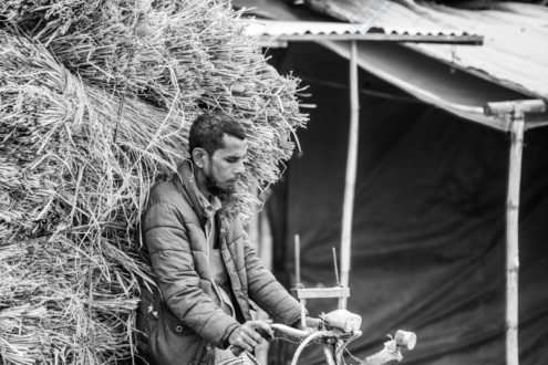 An Immense Load of Hay - Fine Art Photography Print, Monochrome Photography, Documentary Photography, Limited Edition Print, Art Photography for Sale