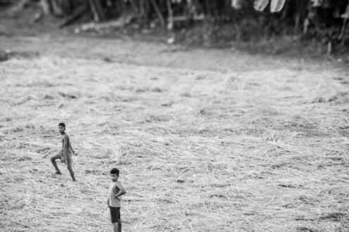 Boys in the Field - Fine Art Photography Prints, Limited Edition Photography, Monochromatic Photography,  Art Photography Prints,  Luxury Photography Art