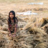 Girl Among the Harvested Fields - Fine Art Photography Print, Limited Edition Photography, Giclée Print,  Art Photography,  Rural Photography