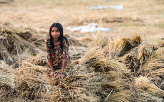 Girl Among the Harvested Fields