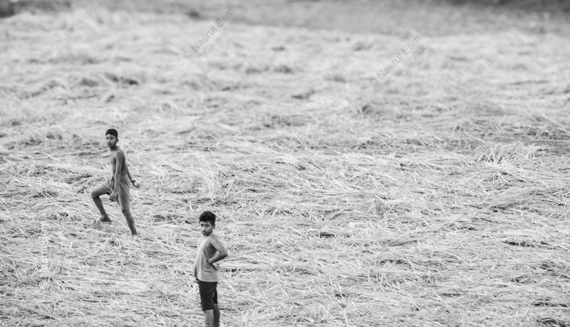 Boys in the Whispering Field
