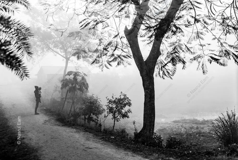 A Gentle Presence on a Misty Path