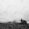 Custodian of the Burning Fields - Fine Art Photography Print, Limited Edition Print, Museum-Quality Photography, Art Photography Investment, Contemporary Photography