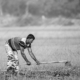 Tilling the Earth - Fine Art Photography Print, Limited Edition Photography, Monochrome Photography,  Art Photography for Sale,  Photography Prints for Collectors