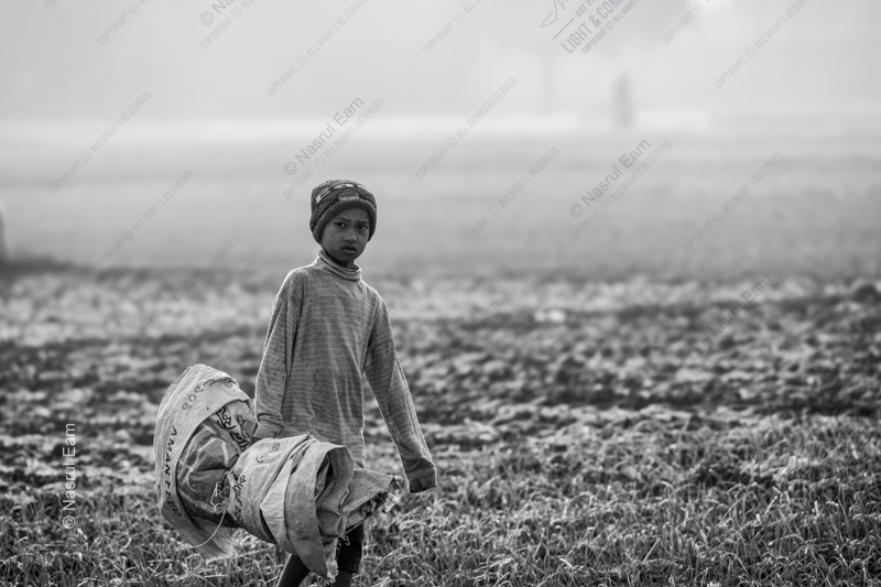 Morning Burden - Fine Art Photography Print, Limited Edition Photography, Museum-Quality Photography, Art Photography Investment, Contemporary Art Photography