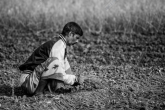 Harvesting - Fine Art Photography Prints, Limited Edition Photography, Luxury Photography Art,  Monochrome Photography,  Art Photography Prints