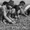 Earthbound: Labor in Monochrome - Fine Art Photography Prints, Limited Edition Photography, Monochrome Photography,  Photography Art for Sale,  Nasrul Eam
