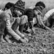 Earthbound: Labor in Monochrome - Fine Art Photography Prints, Limited Edition Photography, Monochrome Photography,  Photography Art for Sale,  Nasrul Eam