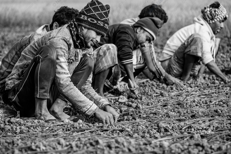 Earthbound: Labor in Monochrome - Fine Art Photography Prints, Limited Edition Photography, Monochrome Photography, Photography Art for Sale, Nasrul Eam