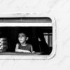 Framed within the Window