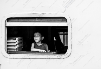 Framed within the Window