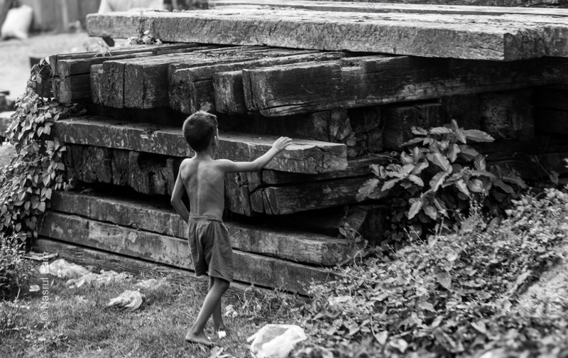 Boy at the Timber Stack