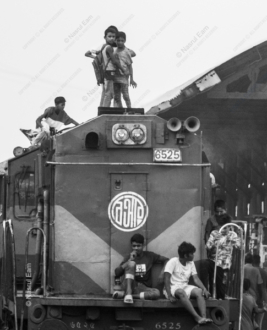 Youthful Resilience - Fine Art Photography Prints, Limited Edition Prints,  Museum-Quality Photography, Photography Art for Sale,  Art Photography Investment