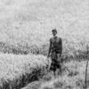 Rice Farmer - Fine Art Photography Print, Limited Edition Photography, Monochrome Photography,  Art Photography Print,  Nasrul Eam