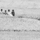 nasrul eam 20250425 Dhaka Rajshahi Train 25th EPH 1799