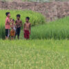 Whispers in the Rice Paddies - Fine Art Photography Prints, Limited Edition Photography, Giclée Prints,  Art Photography Collectors, High-End Photography Prints