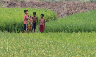 Whispers in the Rice Paddies