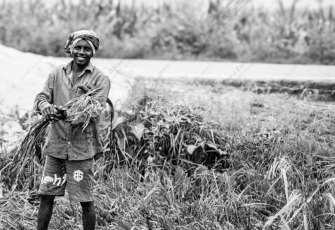 Rice Harvest Smile - Fine Art Photography Print, Limited Edition Photography, Monochrome Photography, Humanist Photography,  Art Photography for Sale