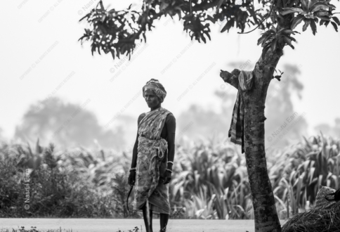 Guardian of the Fields - Fine Art Photography Print, Limited Edition Photography, Museum-Quality Artwork, Luxury Photography Art, Contemporary Art Photography