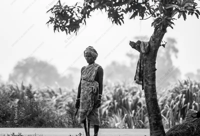 Guardian of the Fields - Fine Art Photography Print, Limited Edition Photography, Museum-Quality Artwork, Luxury Photography Art, Contemporary Art Photography