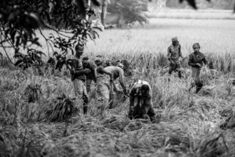 Harvest in the Fields - Fine Art Photography Prints, Limited Edition Photography, Museum-Quality Photography, Contemporary Art Photography, Photography Prints for Collectors
