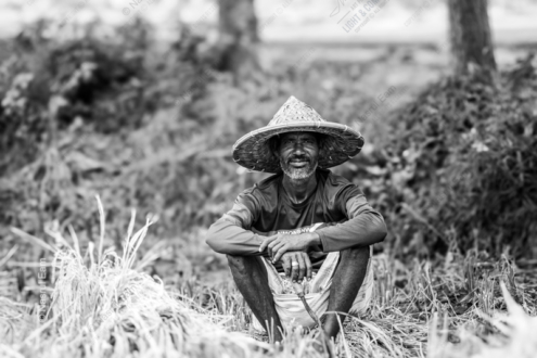 Harvester's Repose - Fine Art Photography Print, Limited Edition Photography, Luxury Photography Art, Museum-Quality Photography, Art Photography for Sale