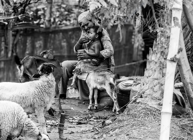 Motherhood and Sustenance - Fine Art Photography Print, Limited Edition Photography, Motherhood, Monochrome Photography, Art Photography for Sale