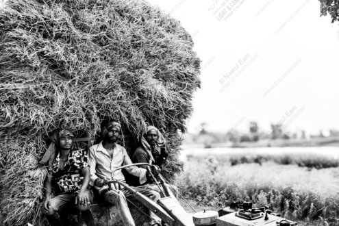 Against the Monumental Hay Load - Fine Art Photography Print, Limited Edition Photography, Giclée Print,  Documentary Photography,  Art Photography for Sale