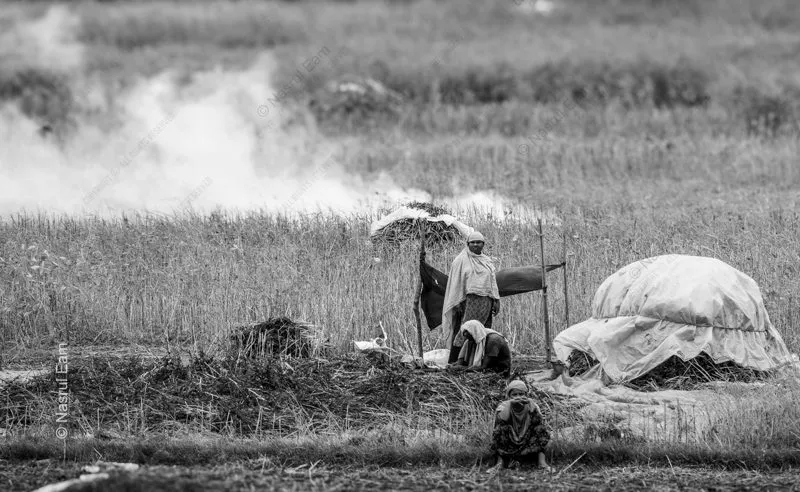 Three Women in a Smoky Field - Fine Art Photography Prints, Limited Edition Photography, Giclée Print, Monochrome Photography, Art Photography for Sale
