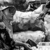 The Egg Seller's Transaction