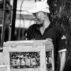 The Kerang Vendor by the Tree