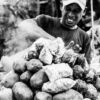 Vendor Amidst the Steam