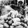 Vendor Amidst the Steam