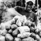 Vendor Amidst the Steam