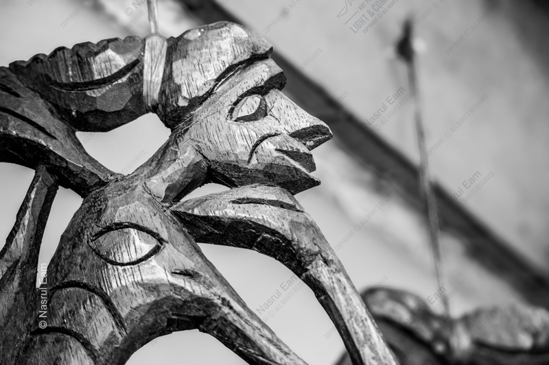 The Wooden Sentinel