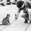 A Man Photographing a Cat on a Paved Square - Fine Art Photography Print, Limited Edition Photography, Black and White Photography, Contemporary Art Photography, Art Photography for Sale