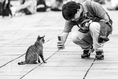 A Man Photographing a Cat on a Paved Square - Fine Art Photography Print, Limited Edition Photography, Black and White Photography,  Contemporary Art Photography,  Art Photography for Sale