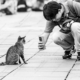 A Man Photographing a Cat on a Paved Square - Fine Art Photography Print, Limited Edition Photography, Black and White Photography,  Contemporary Art Photography,  Art Photography for Sale