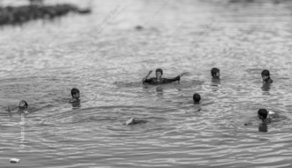 Children of the River