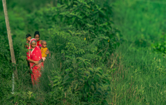 A Family's Passage Through the Green