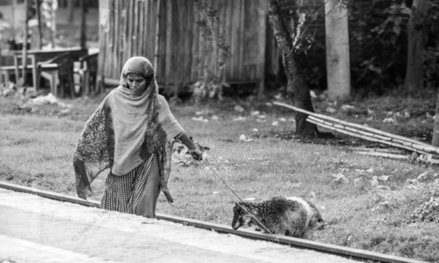 Woman Leading a Sheep Along the Railway - visual storytelling photography, documentary photography, fine art prints, portraiture, photography composition, narrative art, human emotion, contemporary photography