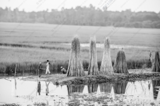 Three Men with the Jute Harvest by the Water - black and white photography, rural photography, visual storytelling, photography techniques, fine art prints