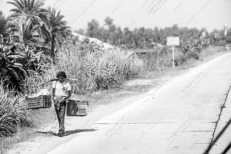 The Carrier on the Sun-Bleached Road - Photography composition, visual storytelling, fine art photography, light study, photo technique, human resilience