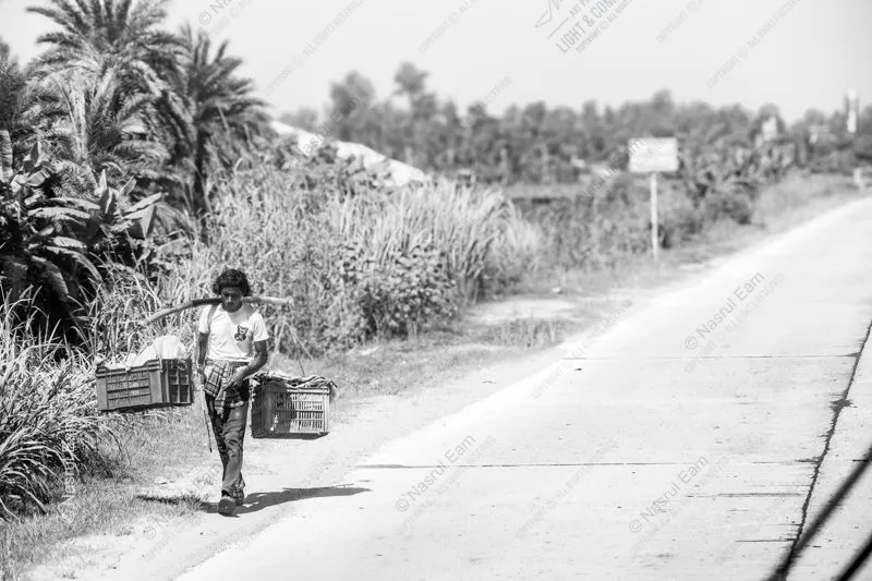 The Carrier on the Sun-Bleached Road - Photography composition, visual storytelling, fine art photography, light study, photo technique, human resilience