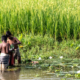 nasrul eam 20251013 Dhaka Rajshahi Tour 12 14 EN1 1583