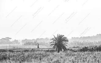 A Walker on the Tracks